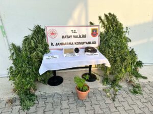 HATAY (AA) – Hatay'da düzenlenen uyuşturucu ve kaçakçılık operasyonlarında 26
