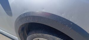 ISPARTA (AA) – Isparta'da sahipsiz köpekler, park halindeki bir otomobilin