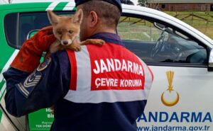 EDİRNE (AA) – Edirne'nin Keşan ilçesinde jandarma ekiplerinin devriye sırasında