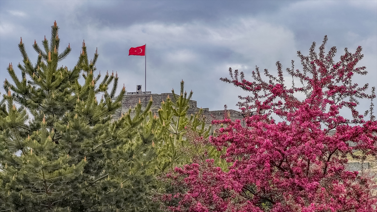 Kars'ta bahar çiçekleri doğaya renk kattı