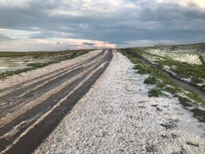 KARS (AA) – Kars'ın Arpaçay ilçesinde yağan dolu tarım arazilerine
