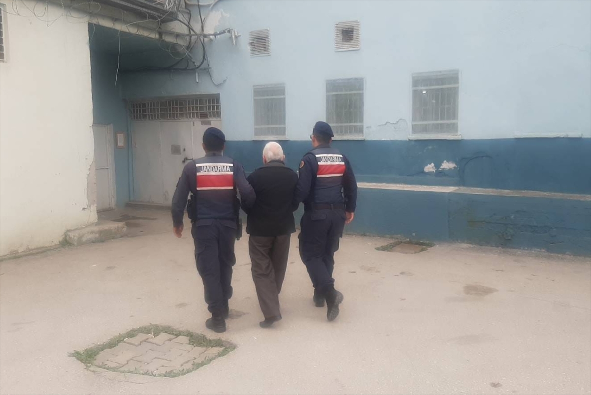 Kastamonu'da arazisinde 371 kök kenevir bulunan zanlı tutuklandı