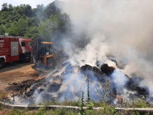 KOCAELİ (AA) – Kocaeli'nin Gölcük ilçesinde besi çiftliğinde çıkan yangın