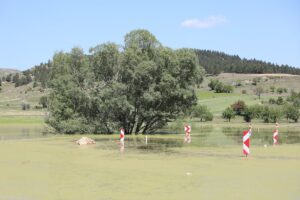 - Bölgeye ulaşımı sağlayan kara yolu su altında kaldı