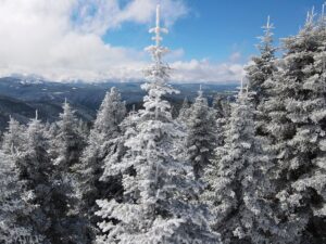KASTAMONU (AA) – Kastamonu'da Ilgaz Dağı Milli Parkı'nda karın oluşturduğu
