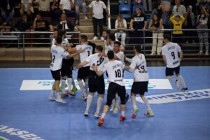 SAKARYA (AA) – Hentbol Erkekler Süper Lig play-off şampiyonluk etabı