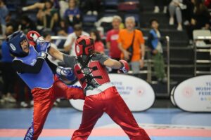 SAKARYA (AA) – Sakarya'da düzenlenen Wushu Okul Sporları Türkiye Şampiyonası