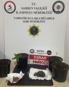 SAMSUN (AA) – Samsun'da düzenlenen uyuşturucu operasyonunda, uyuşturucu ticareti yapmaktan
