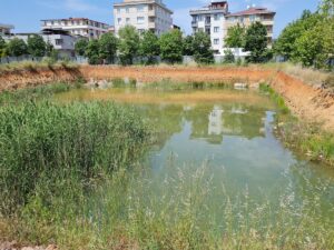 - Toprak sahibi iki kişi ile müteahhit hakkında adli işlem