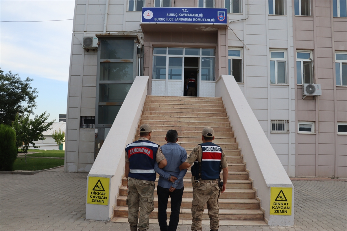 Şanlıurfa'da terör örgütü PKK'ya yönelik operasyonda 11 şüpheli yakalandı