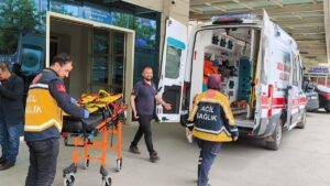 SİİRT (AA) – Siirt'in Eruh ilçesinde "patpat" olarak tabir edilen