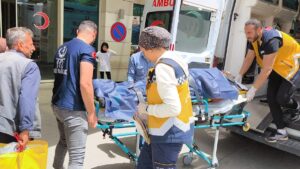 SİİRT (AA) – Siirt'in Şirvan ilçesinde "patpat" olarak tabir edilen