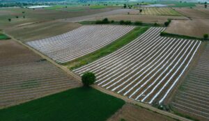 BİLECİK (AA) – Bilecik'te, Türk Patent ve Marka Kurumunca coğrafi