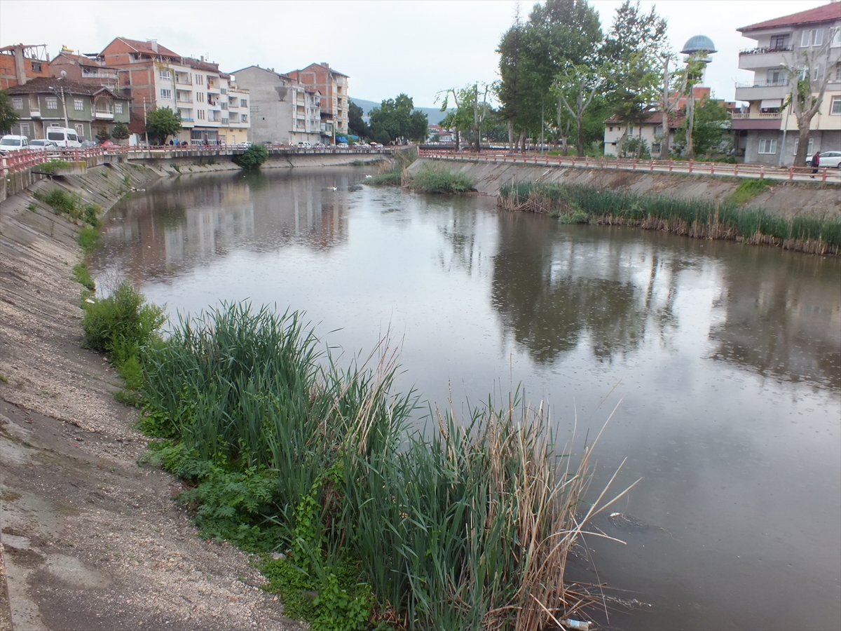 Tokat'ta Yeşilırmak Nehri'ndeki balık ölümüyle ilgili inceleme başlatıldı