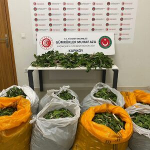 - Bitkileri yurt dışına çıkarmaya çalışan 6 şüpheliye 2 milyon