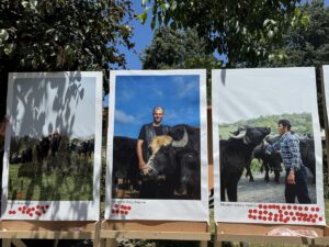 - İlki 17. İstanbul Bienali kapsamında yapılan festivalde, İstanbul'un sulak