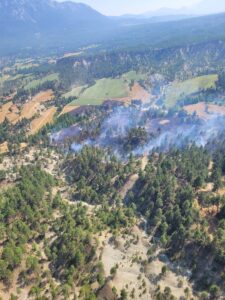 ADANA (AA) – Adana'nın Aladağ ilçesinde çıkan orman yangını havadan