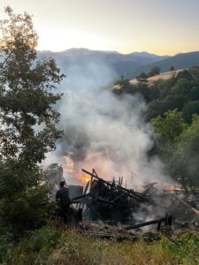 ADANA (AA) – Adana'nın Feke ilçesinde, ev ve ahırda çıkan