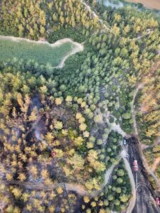 ADANA (AA) – Adana'nın merkez Sarıçam ilçesinde çıkan orman yangınına