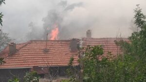 ANKARA (AA) – Ankara'nın Nallıhan ilçesinde çıkan yangında samanlık ve