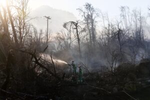 ATİNA (AA) – Yunanistan'ın başkenti Atina'nın yaklaşık 50 kilometre uzağındaki​​​​​​​
