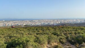 AYDIN (AA) – Aydın'ın Didim ilçesinde makilik alanda çıkan yangın