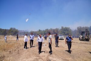 BALIKESİR (AA) – Balıkesir'in Ayvalık ilçesinde çöp depolama alanında çıkan