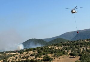 BALIKESİR (AA) – Balıkesir'in Kepsut ilçeside tarım arazisinde başlayıp ormanlık