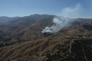 BİNGÖL (AA) – Bingöl'ün Genç ilçesinde çıkan örtü yangını ormanlık