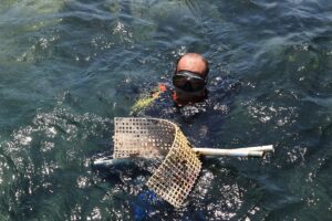 MUĞLA (AA) – Muğla'nın Bodrum ilçesinde dalgıçlarca deniz dibinden 800