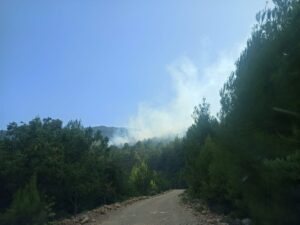 BURDUR (AA) – Burdur'un Bucak ilçesinde iki noktada çıkan orman