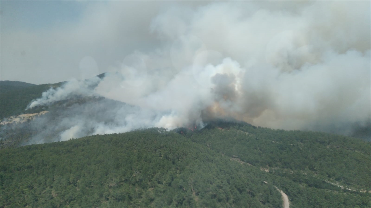 Bursa'da çıkan orman yangınına müdahale ediliyor