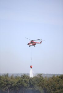 ÇANAKKALE (AA) – Çanakkale'de tarım arazisinde çıkan ve ormanlık alana