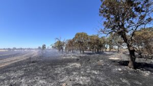YANGININ KONTROL ALTINA ALINMASI VE VALİNİN AÇIKLAMASI EKLENDİ
