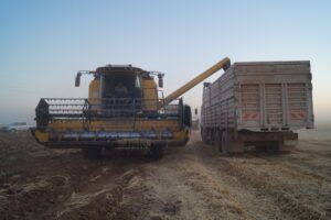 ŞANLIURFA (AA) – "Hububat deposu" olarak adlandırılan, Tarım ve Orman