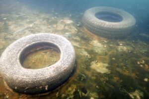 VAN (AA) – Su altı belgesel yapımcısı ve görüntü yönetmeni