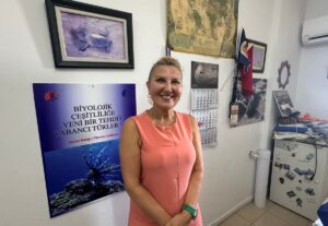 MERSİN (AA) – Yeşil deniz kaplumbağaları ve caretta carettalar, Mersin'in