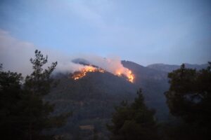 DENİZLİ (AA) – Denizli'de 7 ilçede çıkan 8 orman yangınından