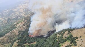 DENİZLİ (AA) – Denizli'de 7 ilçede çıkan orman yangınlarına ekiplerin