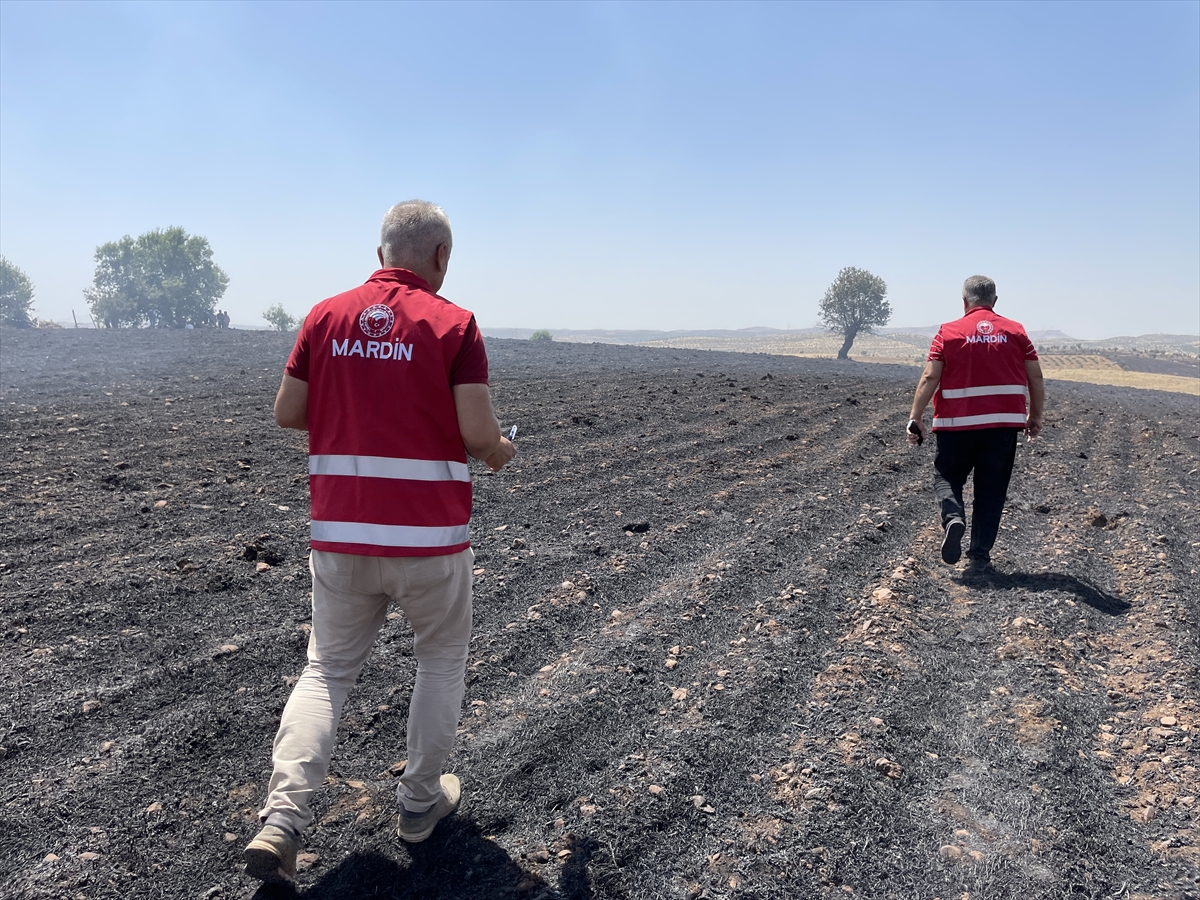 Diyarbakır ve Mardin arasındaki anız yangınına yönelik hasar tespit çalışması yapılıyor