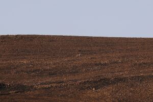 - Yangının etkili olduğu alan dronla görüntülendi 
