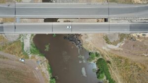 DİYARBAKIR (AA) – Diyarbakır'da bir besici, sıcak havadan etkilenen mandalarını