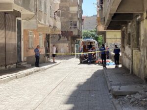 DİYARBAKIR (AA) – Diyarbakır'ın merkez Bağlar ilçesinde sokakta yürüyen kadın,