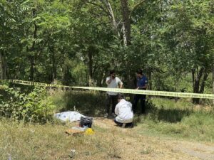İSTANBUL (AA) – Esenyurt'ta boş arazide kadın cesedi bulundu. Ardıçlı