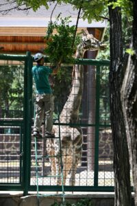 GAZİANTEP (AA) – Yüz ölçümü ve barındırdığı tür bakımından Türkiye'nin