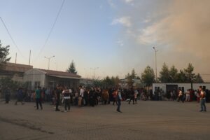 GAZİANTEP (AA) – Gaziantep'in Nizip ilçesinde ormanlık alanda çıkan ve