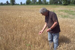 - Lombardiya Bölgesi'nde çiftçiler bu durum nedeniyle kaygılı