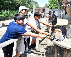 İZMİR (AA) – İzmir Doğal Yaşam Parkı'nda, sıcak hava nedeniyle