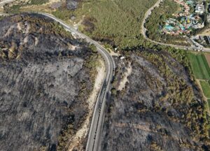 İZMİR (AA) – İzmir'in Selçuk ilçesinde çıkan yangında zarar gören