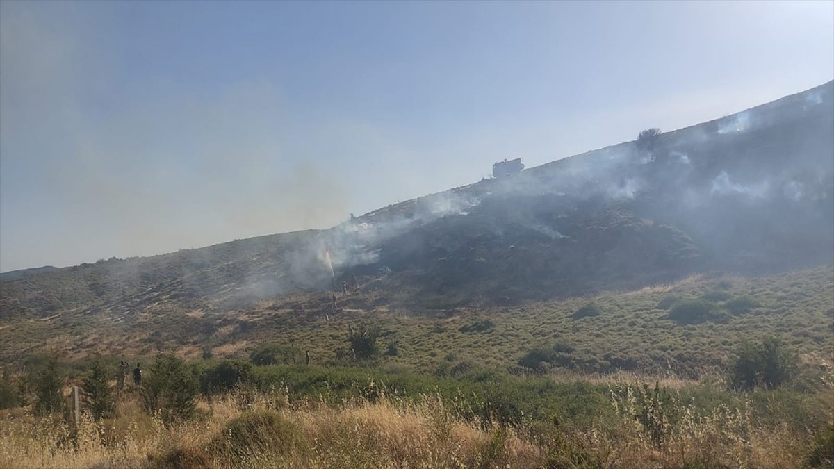 İzmir'de makilik alandaki yangın kontrol altına alındı